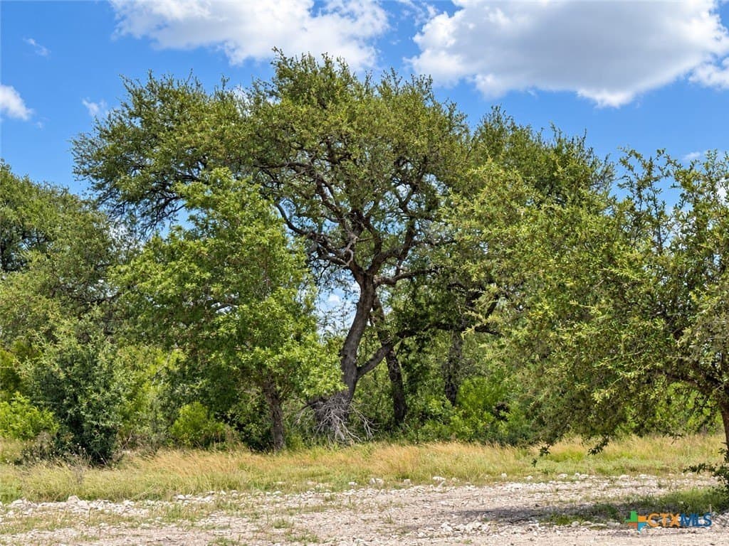 3.77 acres in Bell County - photo 4