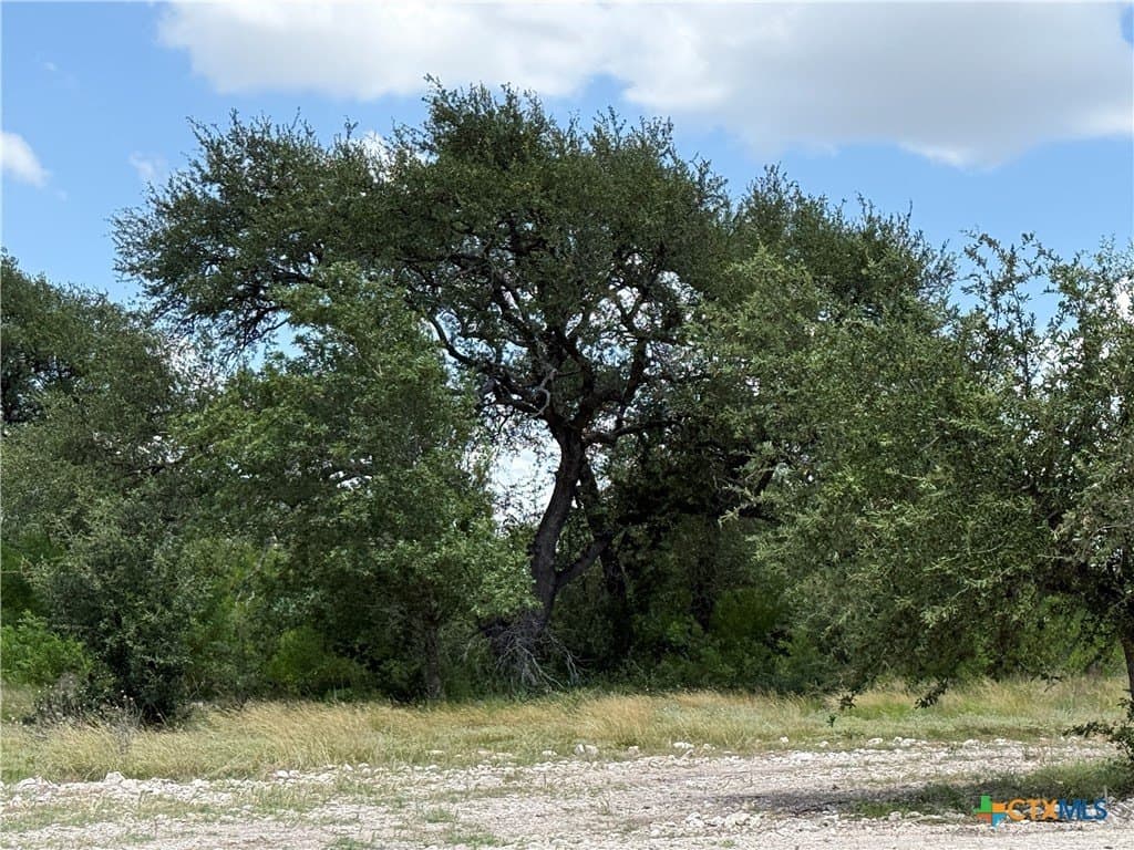 3.77 acres in Bell County featured view