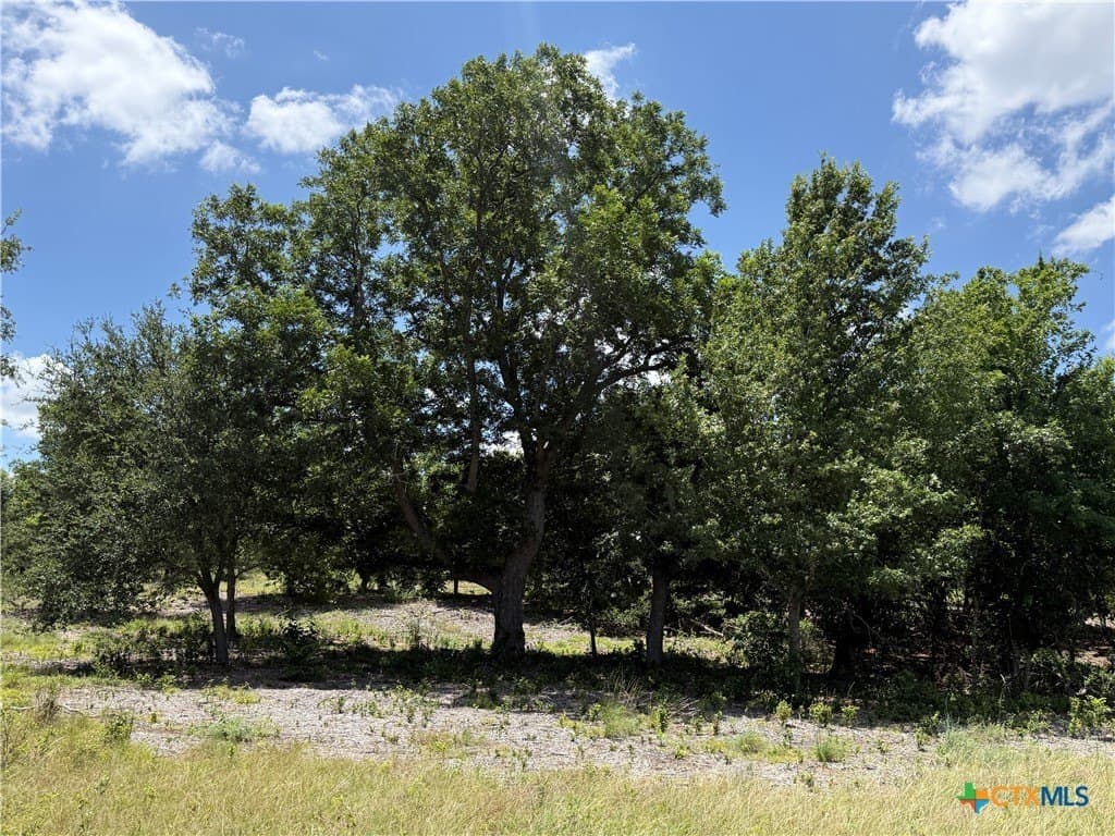 3.77 acres in Bell County - photo 11