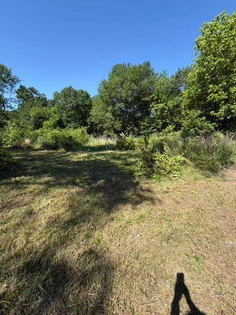 1.51 acres in Hunt County gallery image 3
