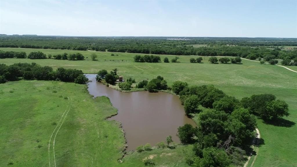 84 acres in Wise County gallery image 3