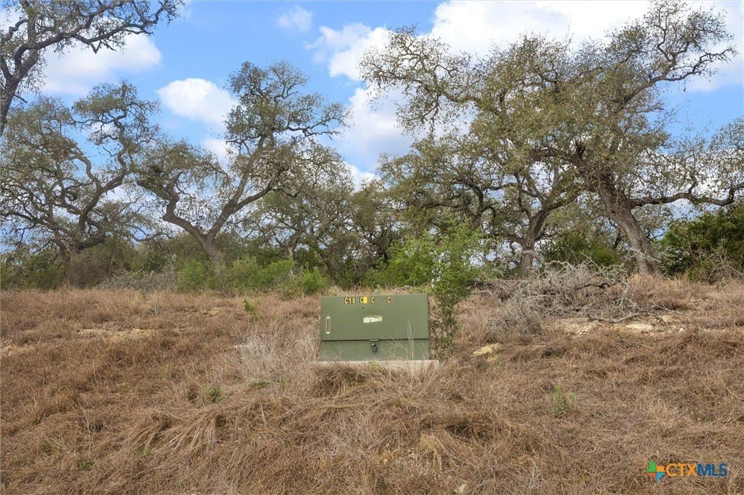 1.02 acres in Comal County - photo 6