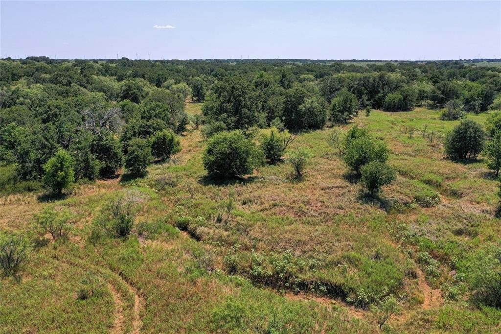 131.7 acres in Jack County gallery image 3