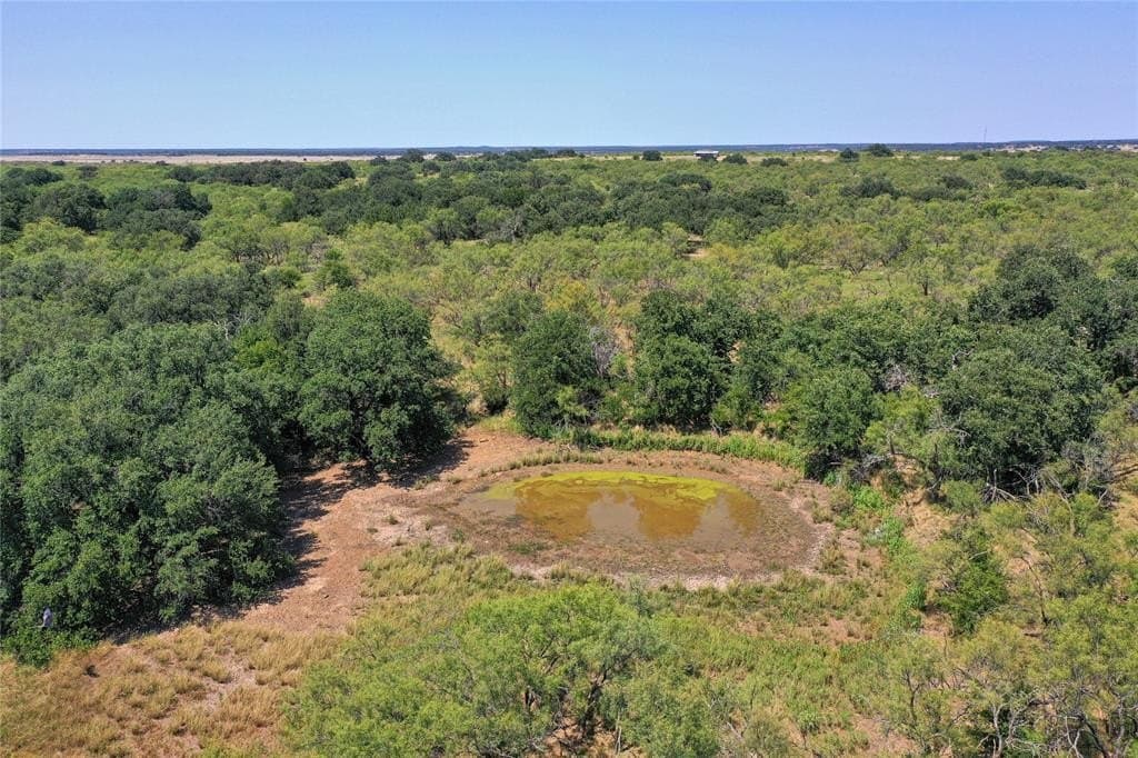 131.7 acres in Jack County gallery image 4
