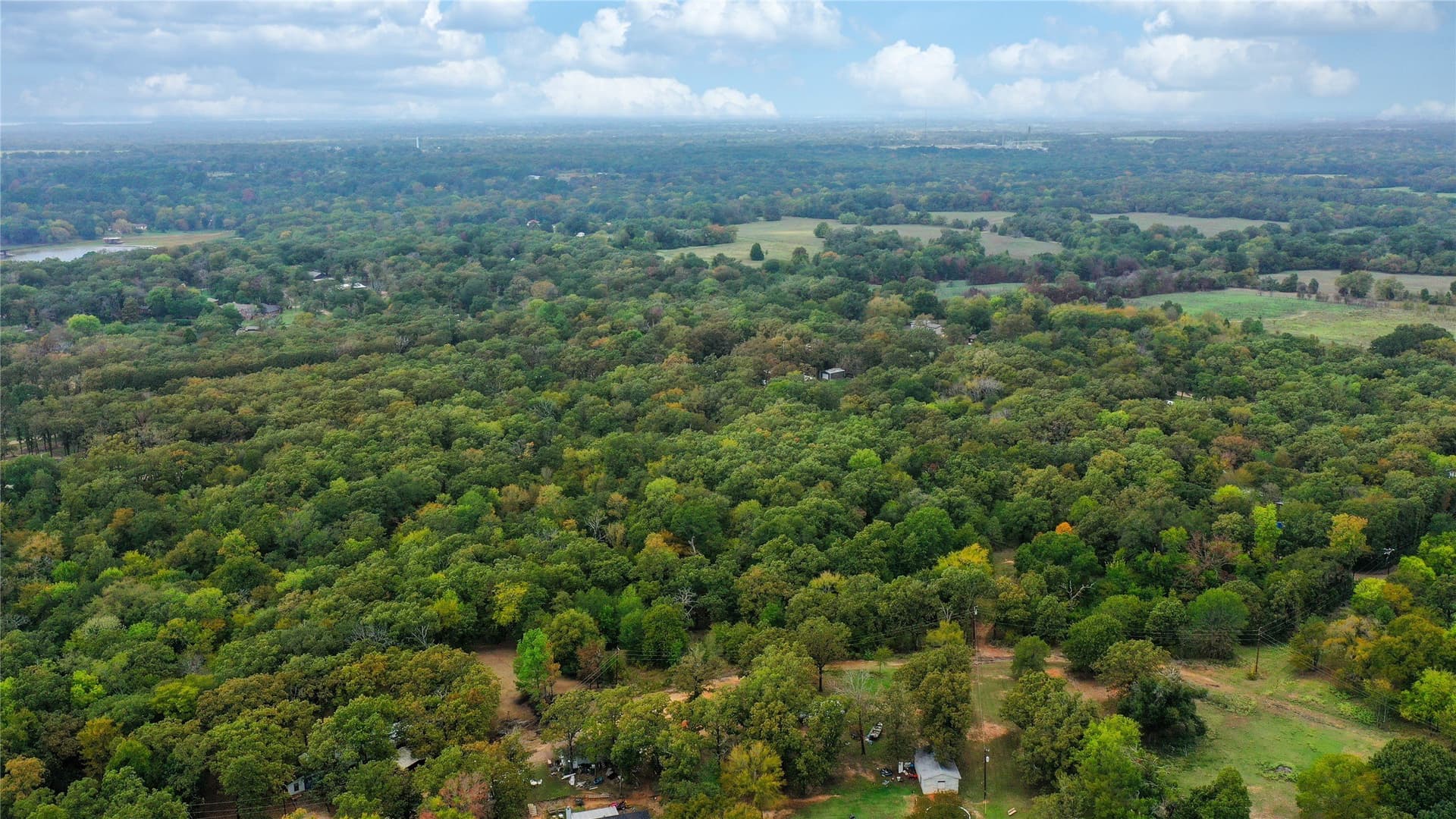 10.19 acres in Henderson County gallery image 4
