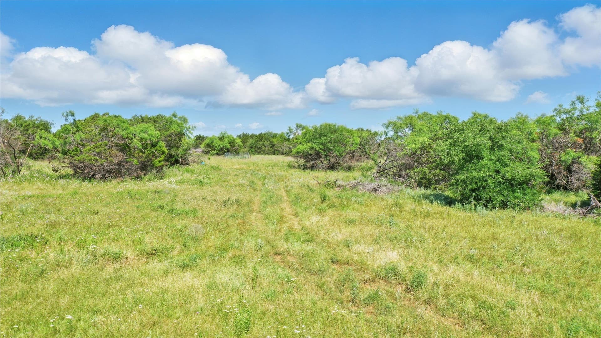 52 acres in Palo Pinto County featured view