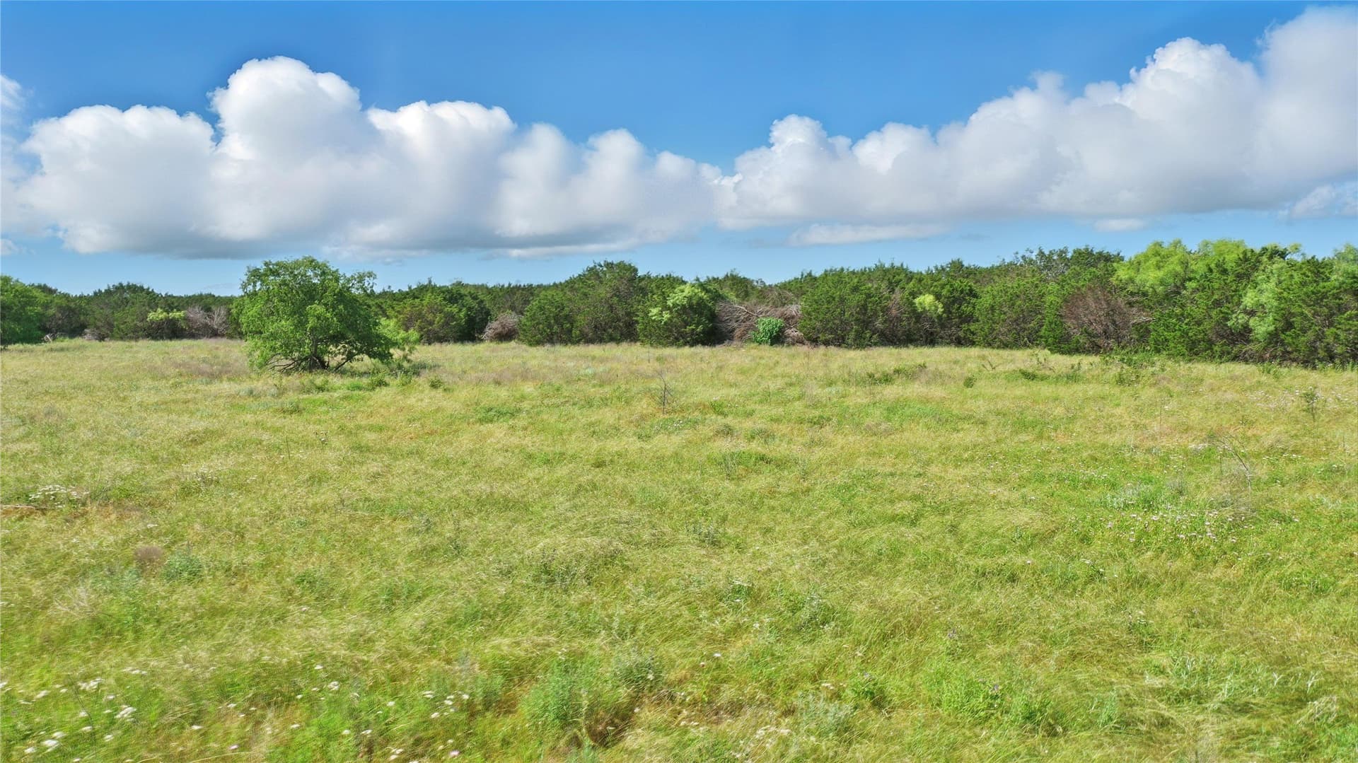 52 acres in Palo Pinto County gallery image 3