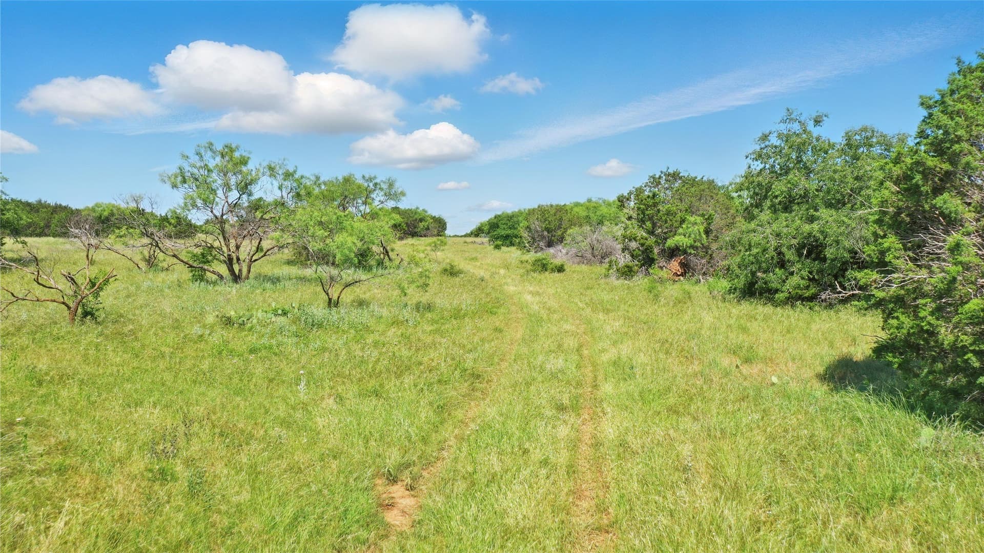 52 acres in Palo Pinto County gallery image 2