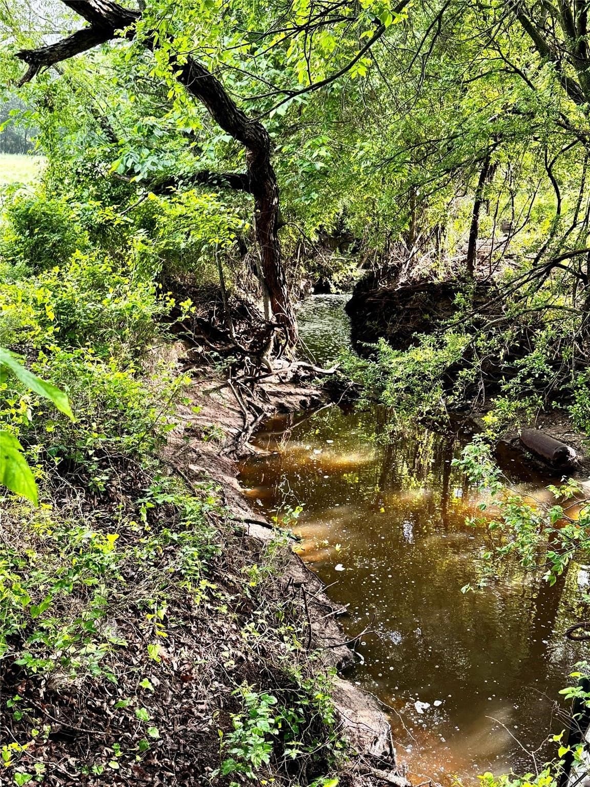 16.05 acres in Wise County - photo 27
