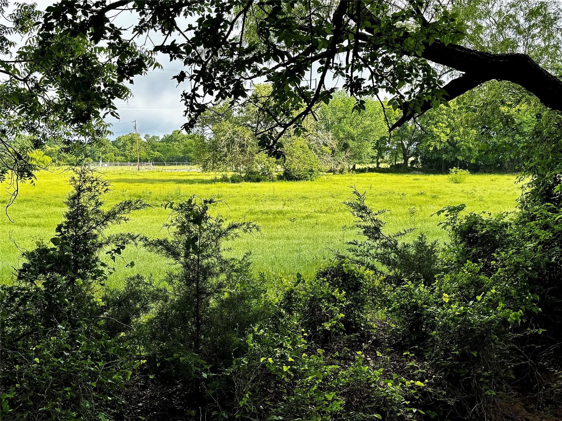 16.05 acres in Wise County - photo 28