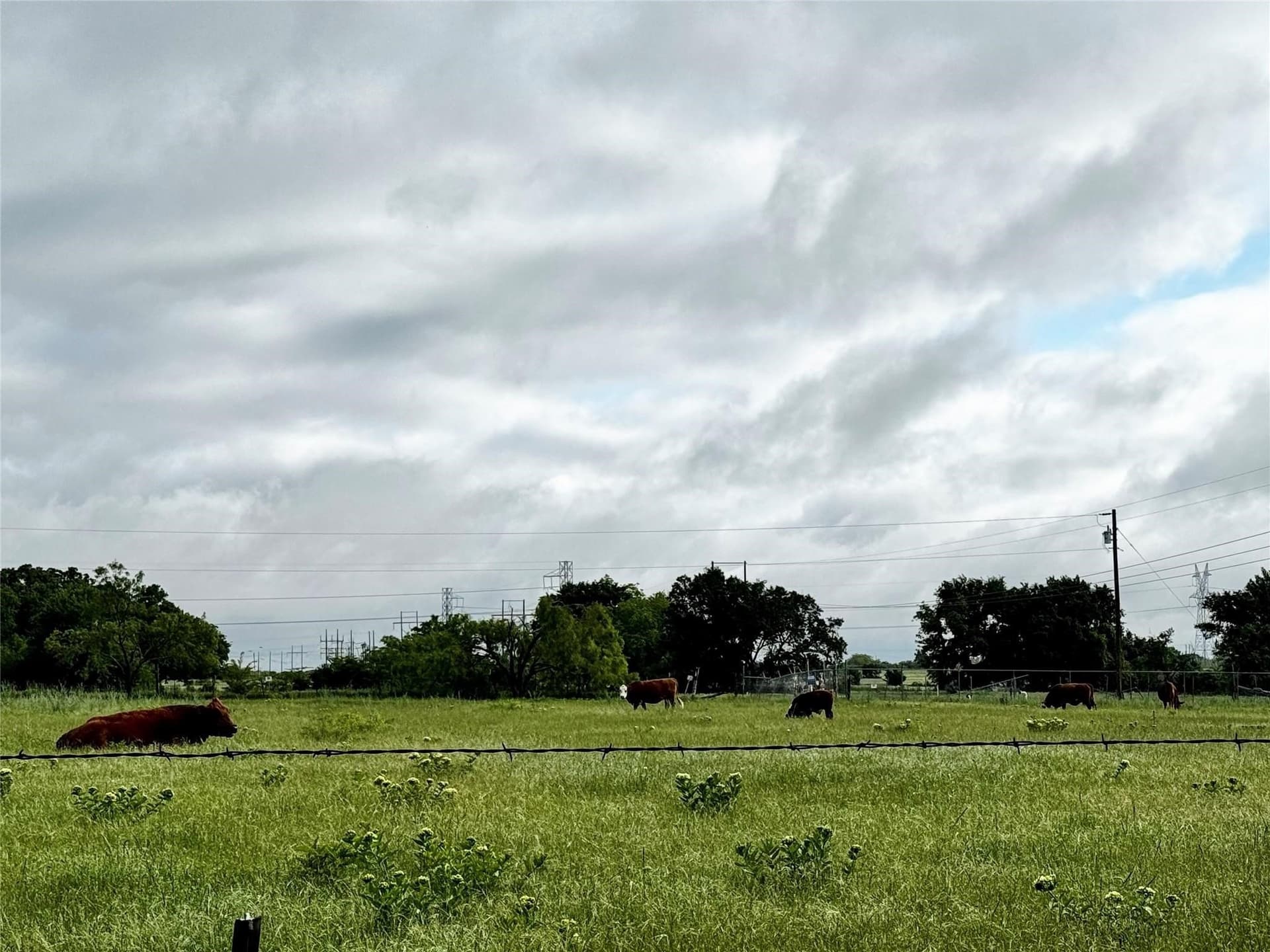 16.05 acres in Wise County gallery image 4