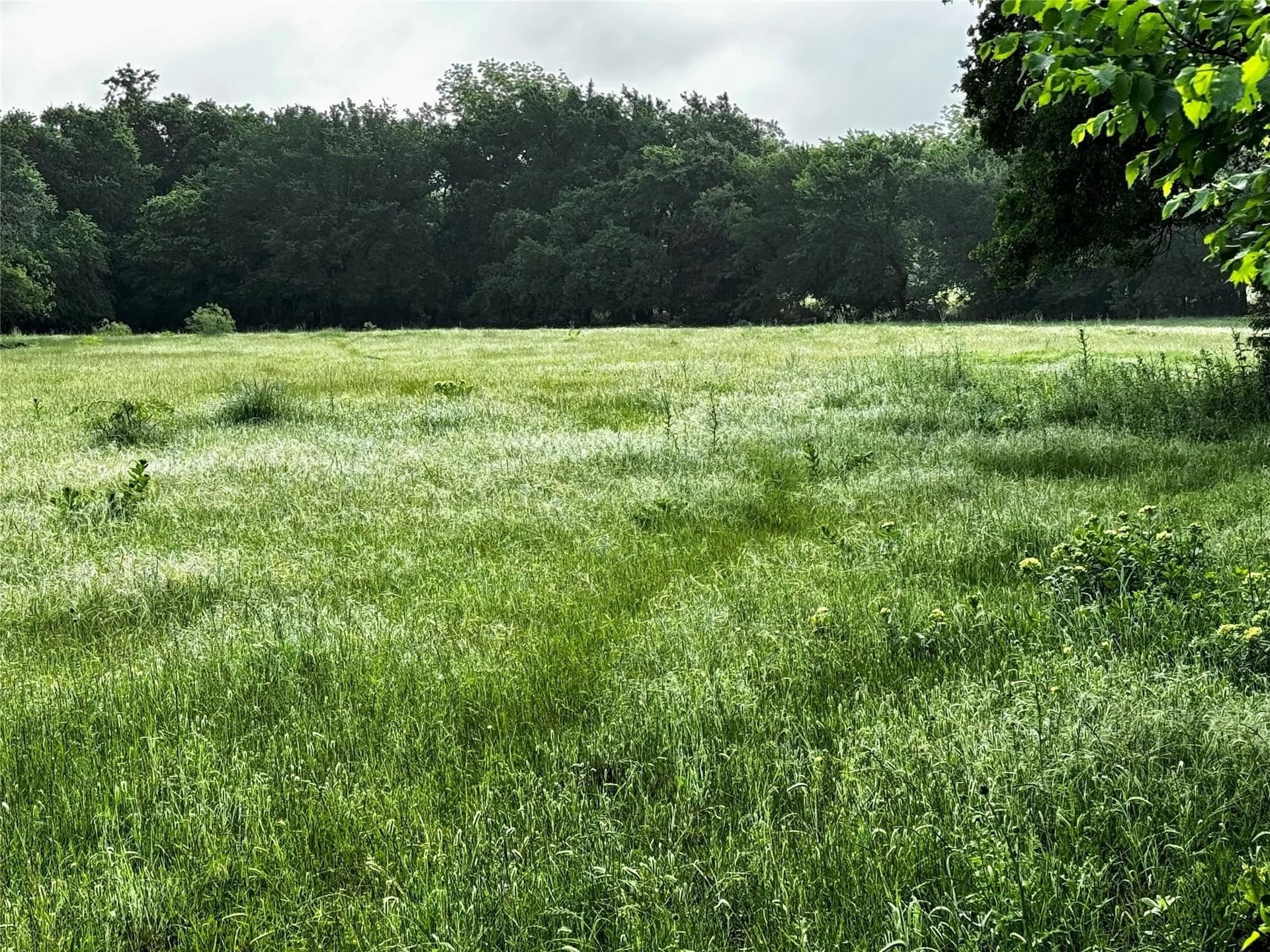 16.05 acres in Wise County - photo 34