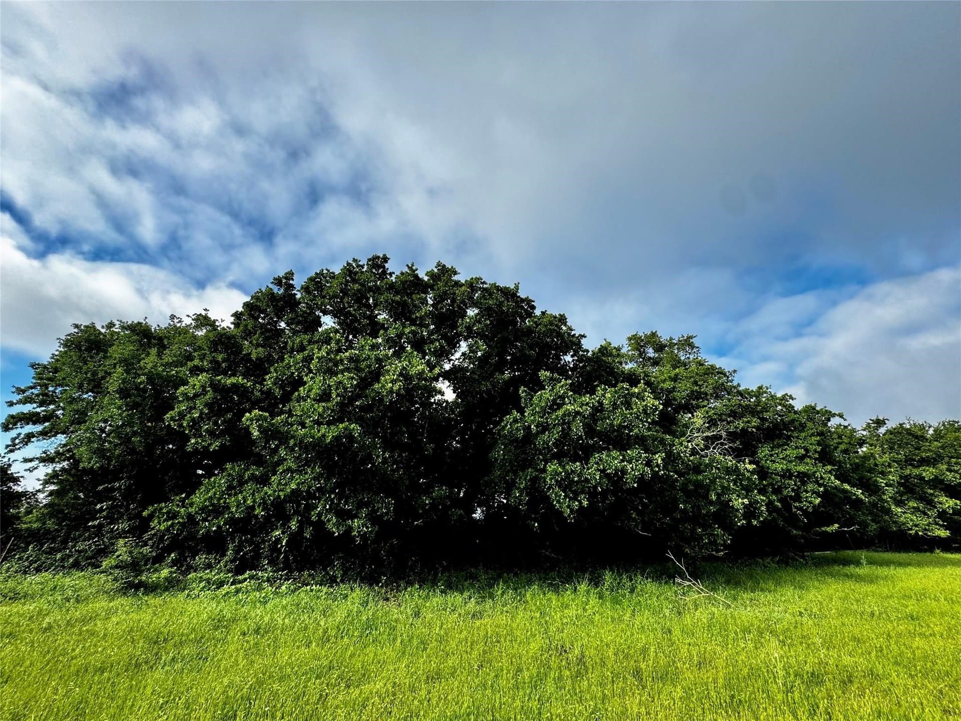 16.05 acres in Wise County - photo 14