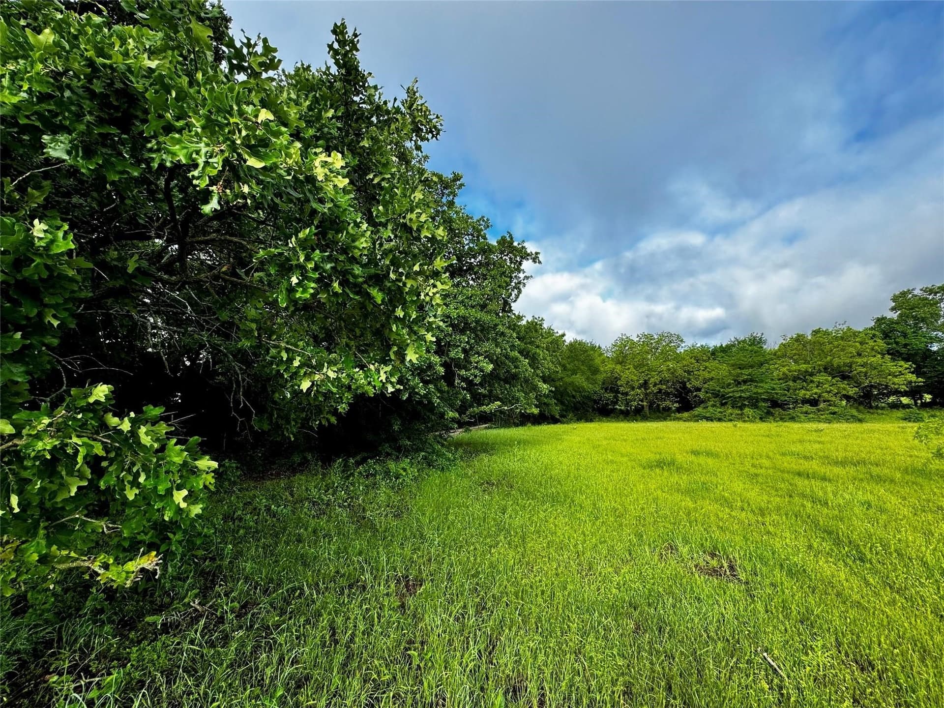 16.05 acres in Wise County - photo 13