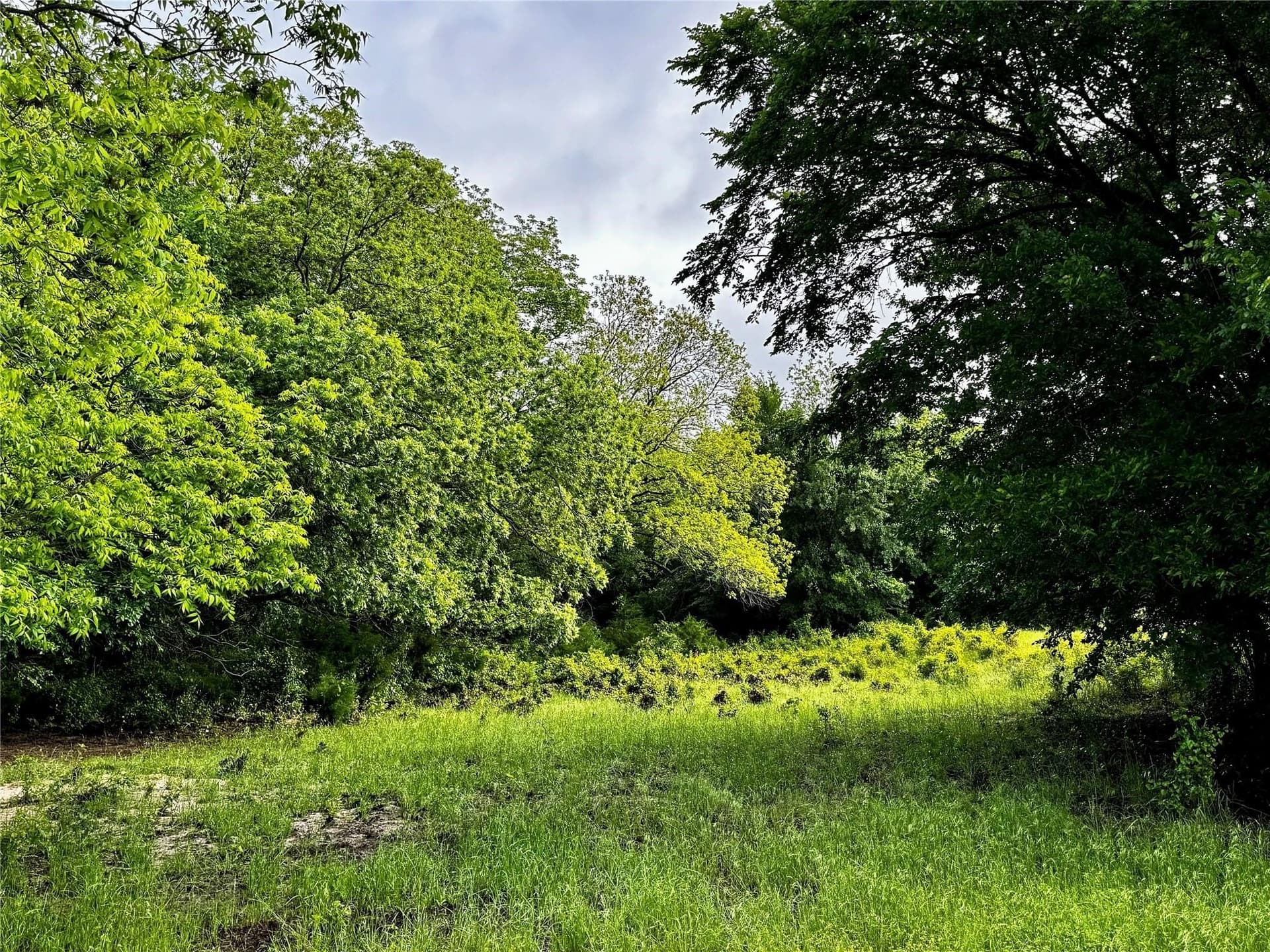 16.05 acres in Wise County - photo 12