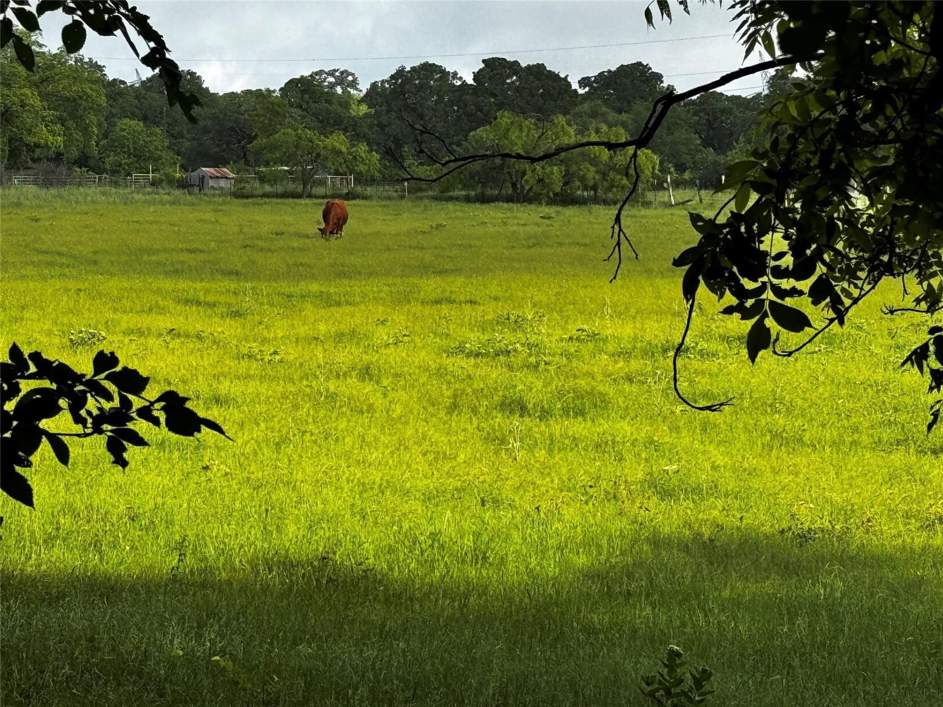 16.05 acres in Wise County - photo 26