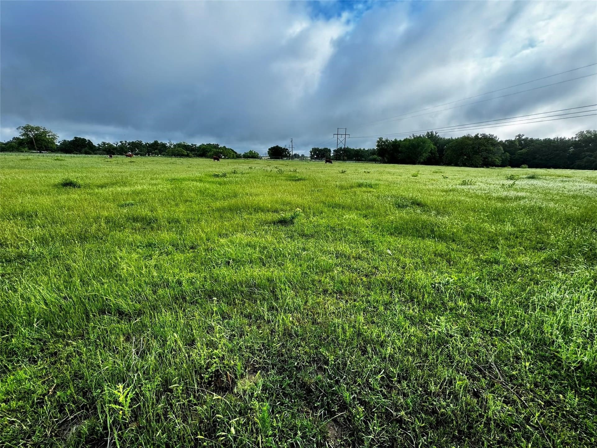 16.05 acres in Wise County - photo 33