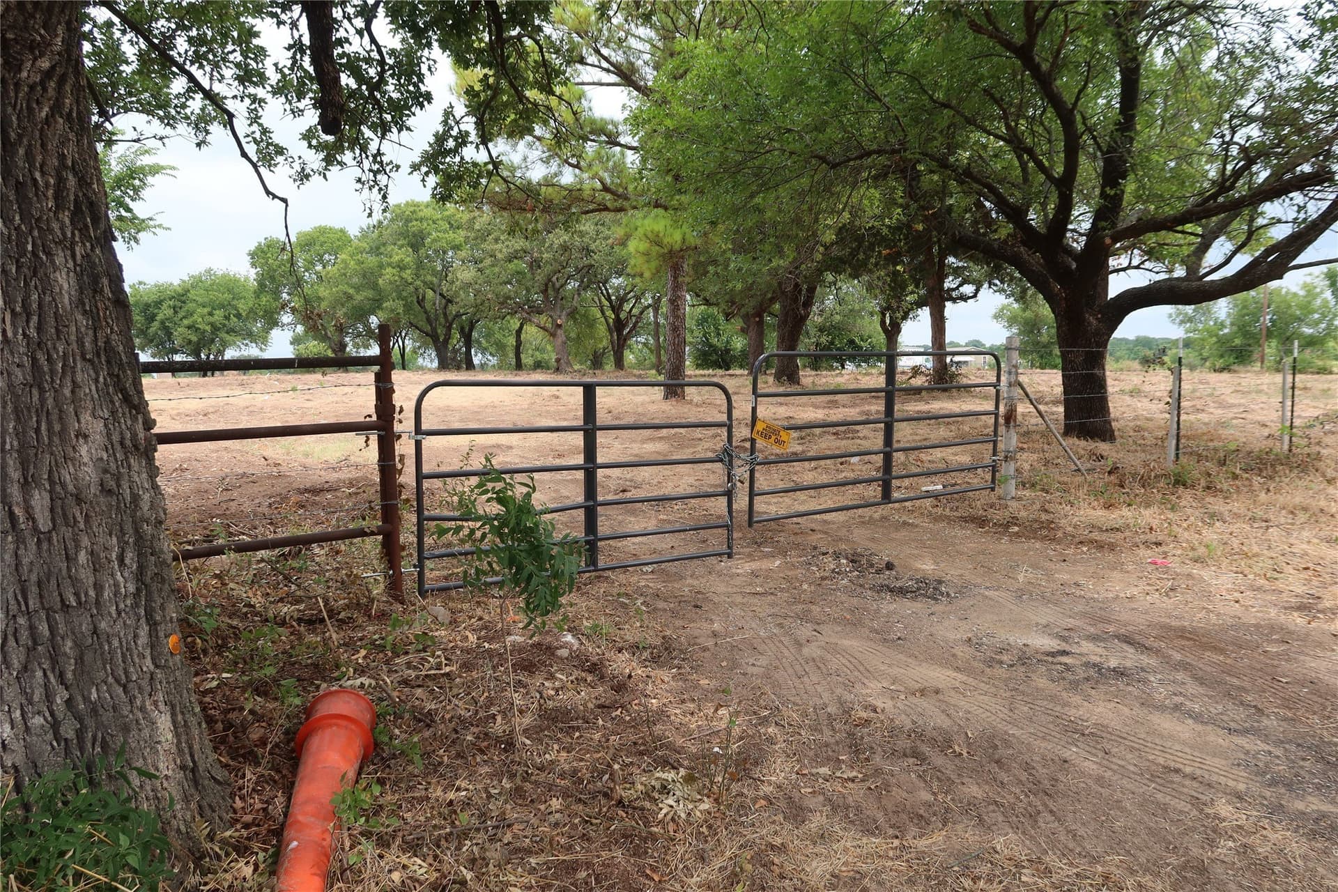 5.58 acres in Montague County gallery image 3