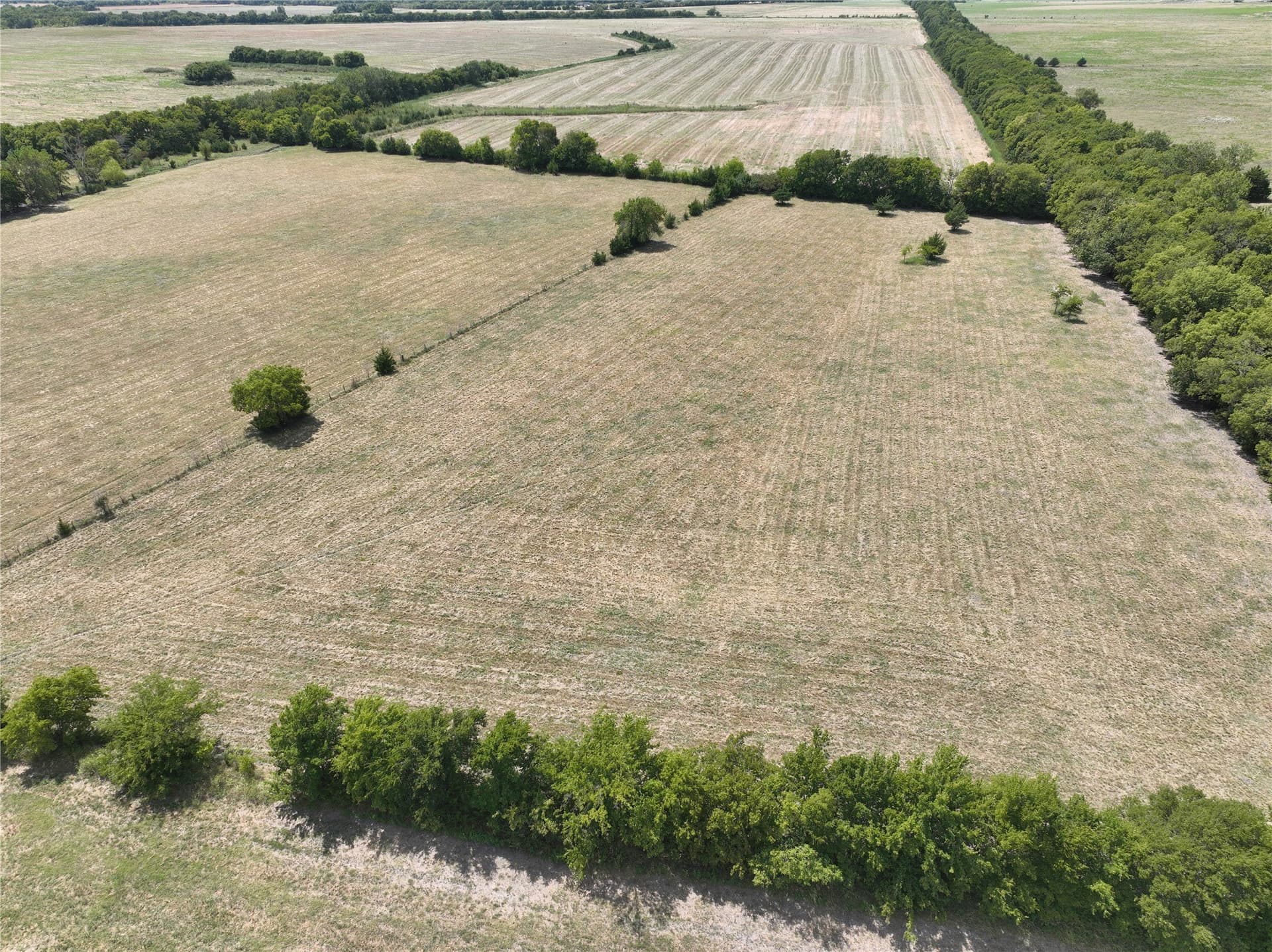55.92 acres in Lamar County - photo 6