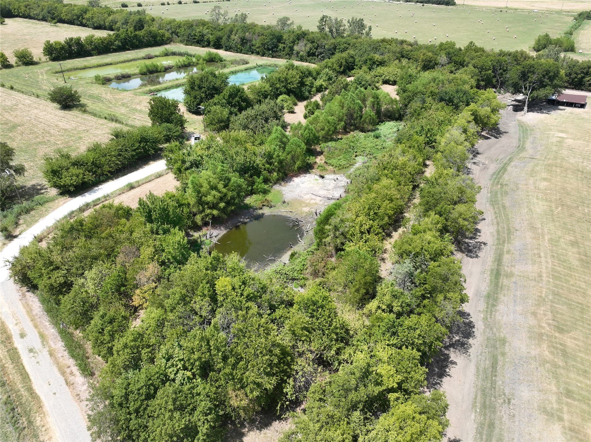 55.92 acres in Lamar County - photo 5
