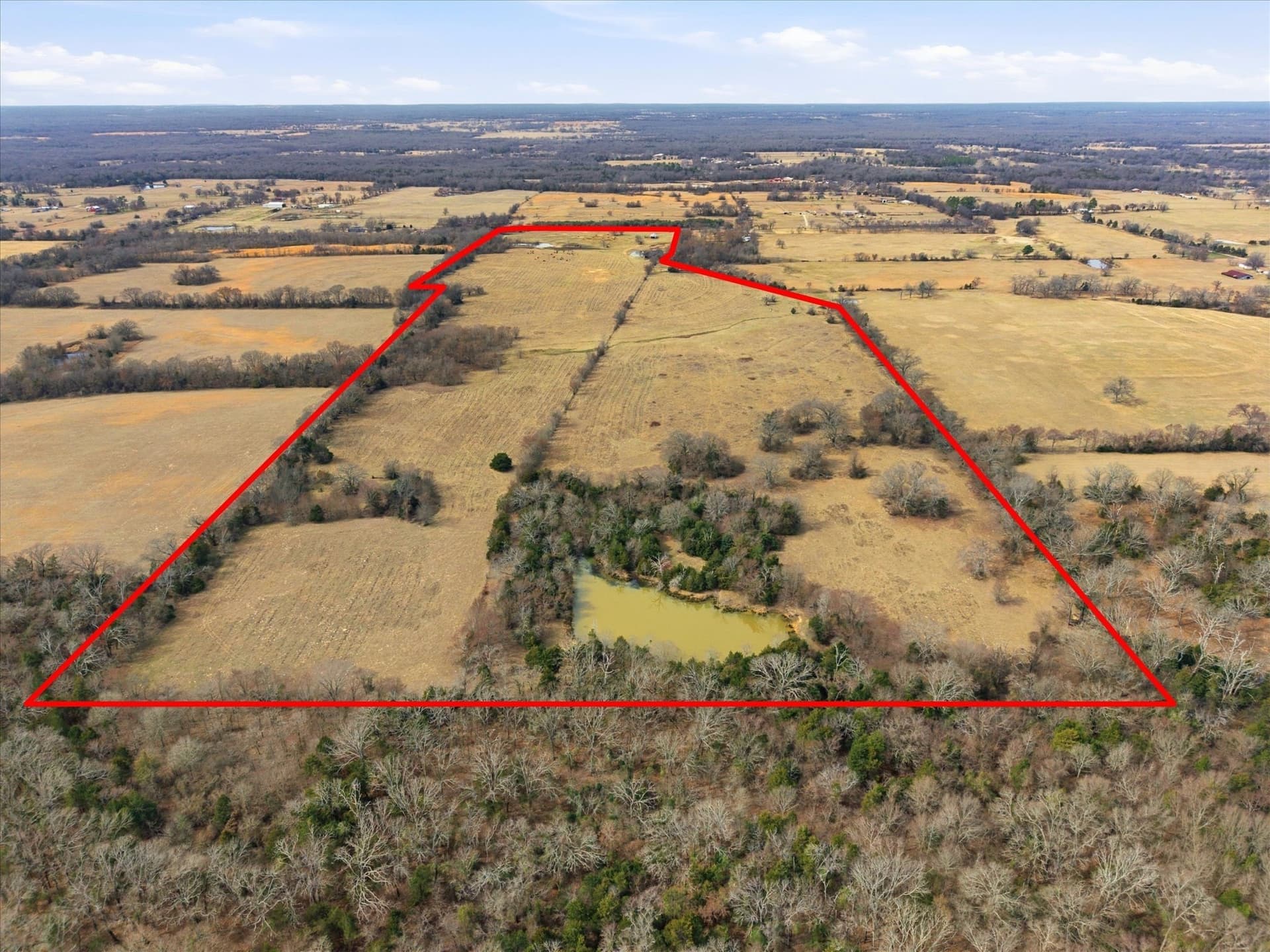 81.88 acres in Rains County - photo 3