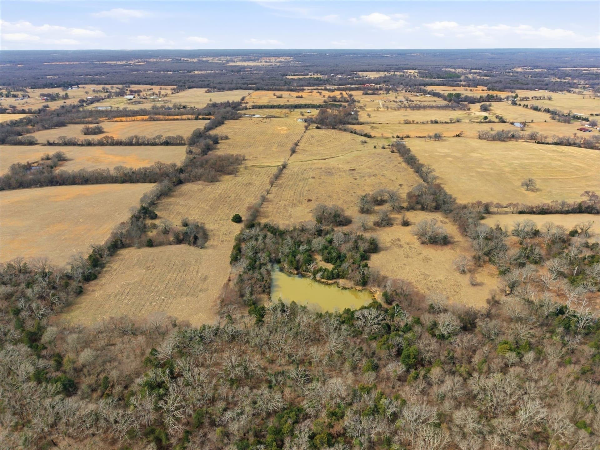 81.88 acres in Rains County - photo 4