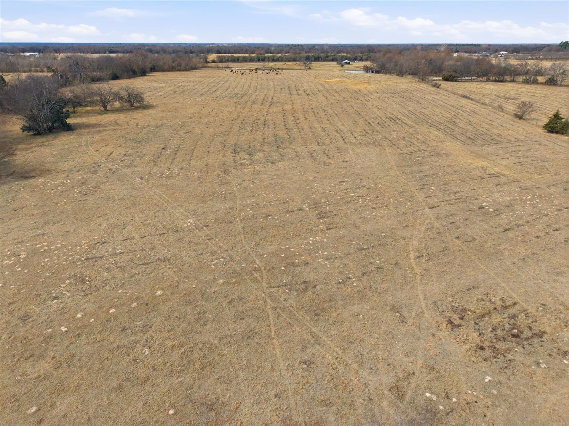81.88 acres in Rains County - photo 16