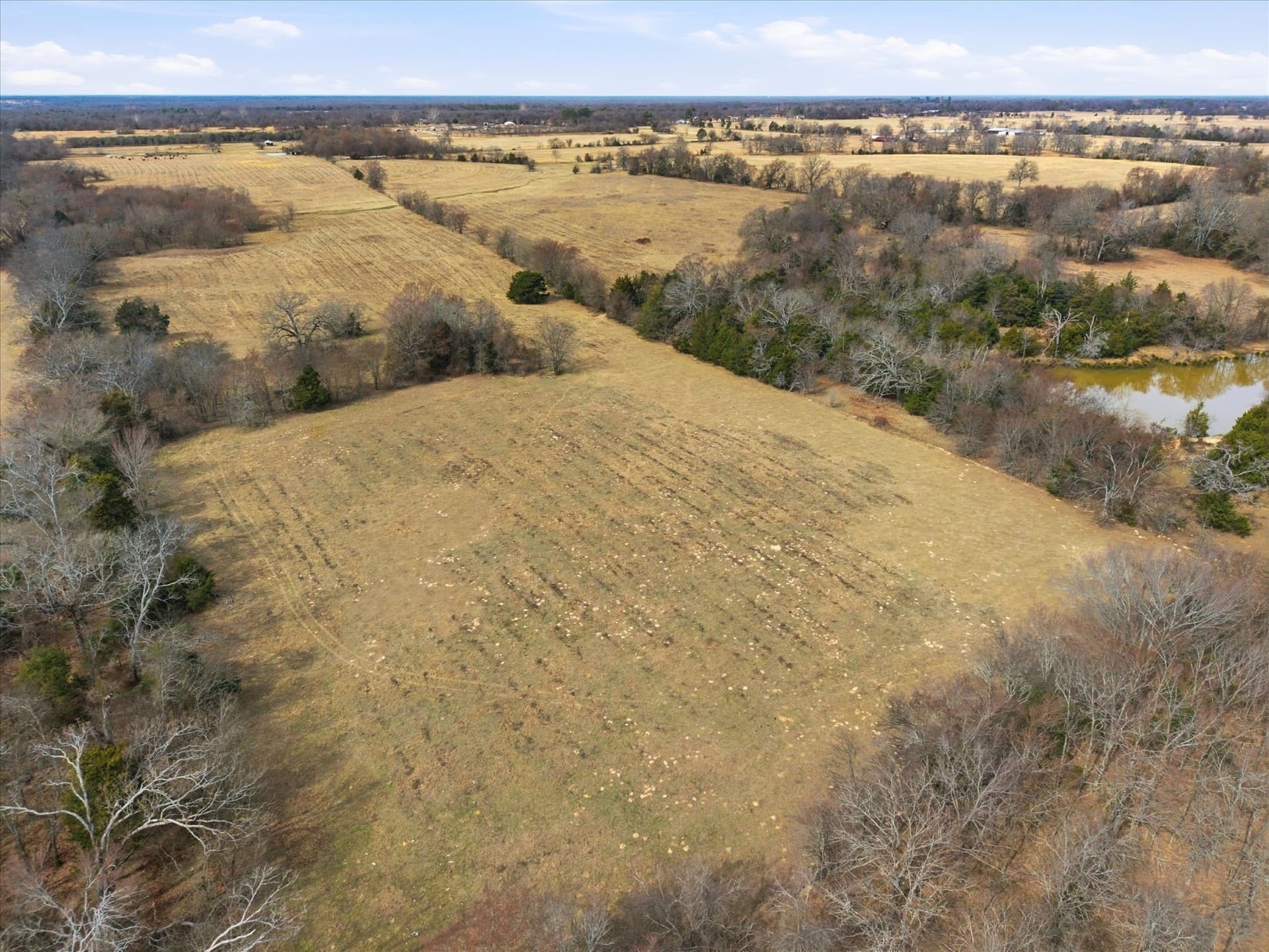 81.88 acres in Rains County - photo 15