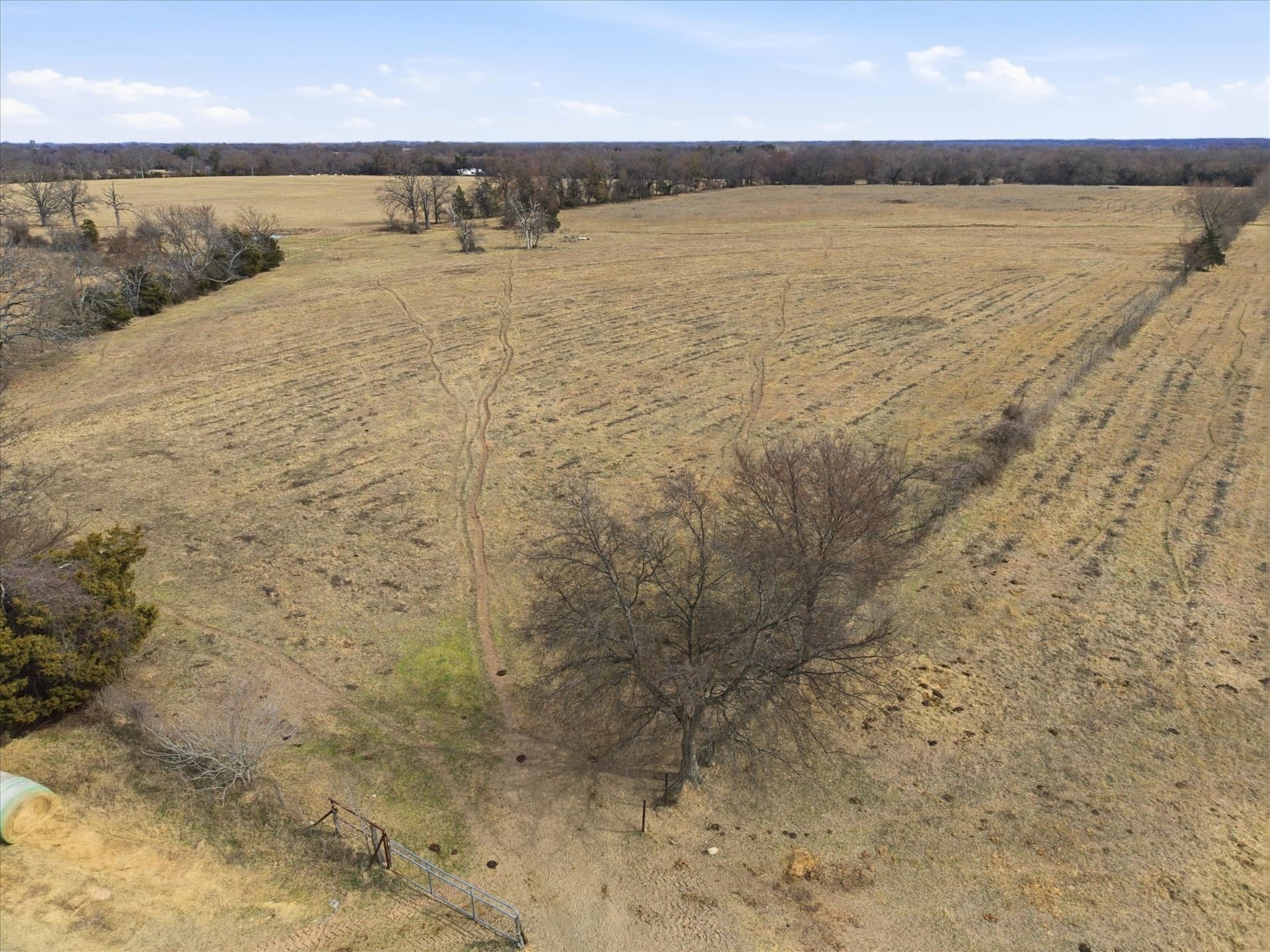81.88 acres in Rains County - photo 11