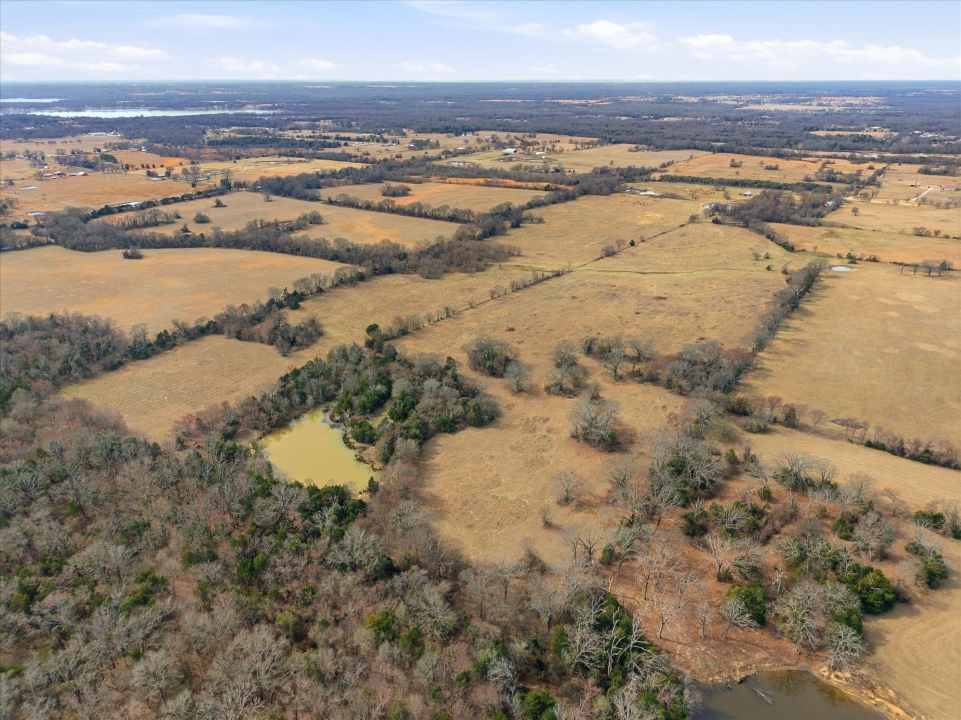 81.88 acres in Rains County - photo 14