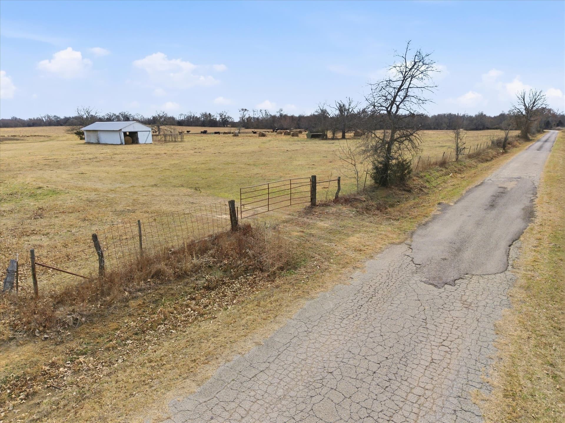 81.88 acres in Rains County - photo 7