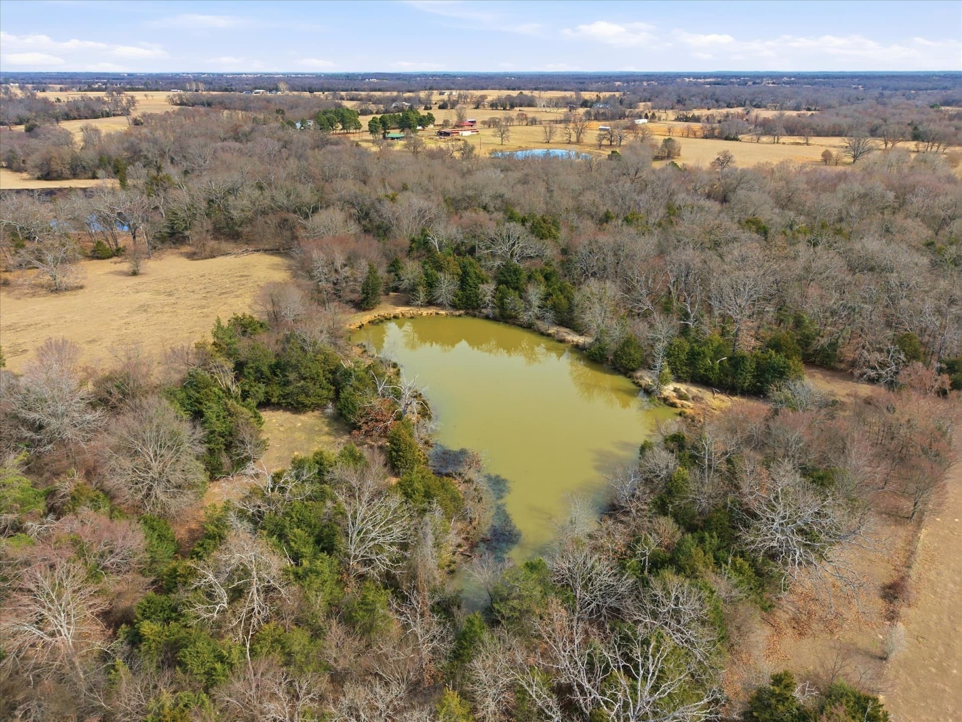 81.88 acres in Rains County - photo 12