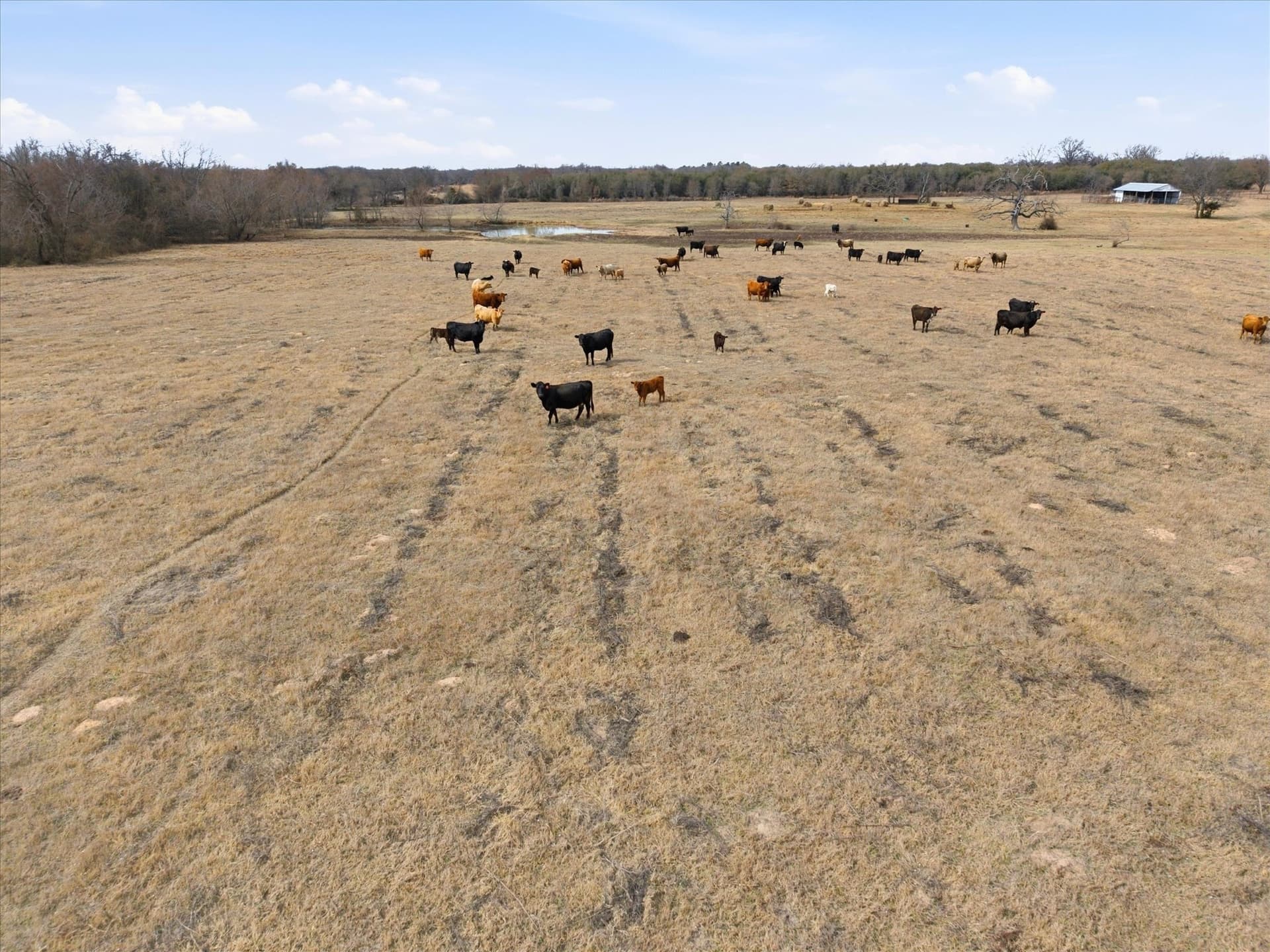 81.88 acres in Rains County - photo 17