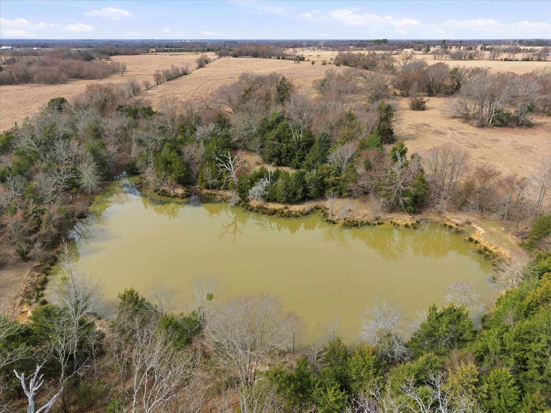 81.88 acres in Rains County - photo 13