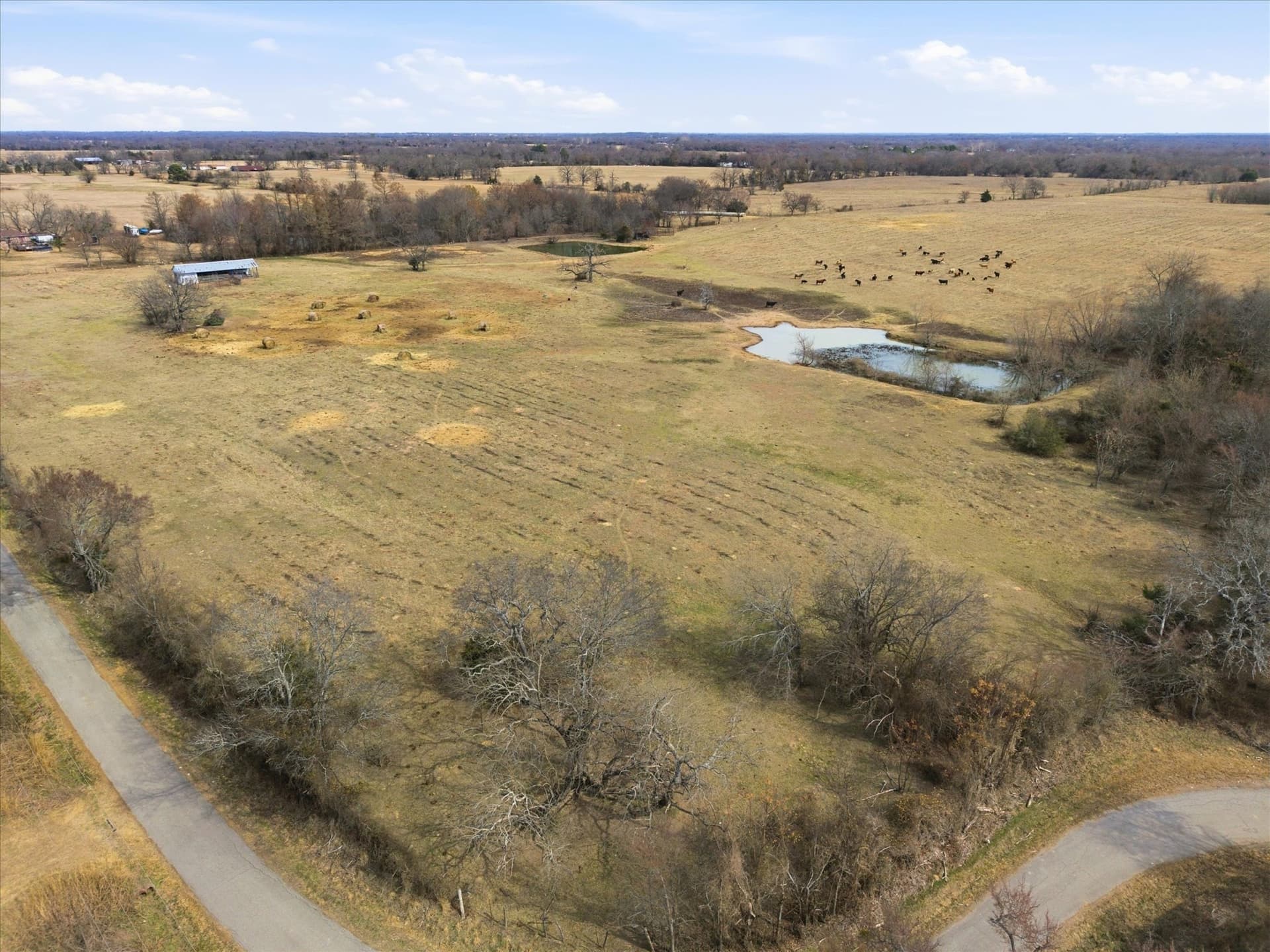 81.88 acres in Rains County - photo 19
