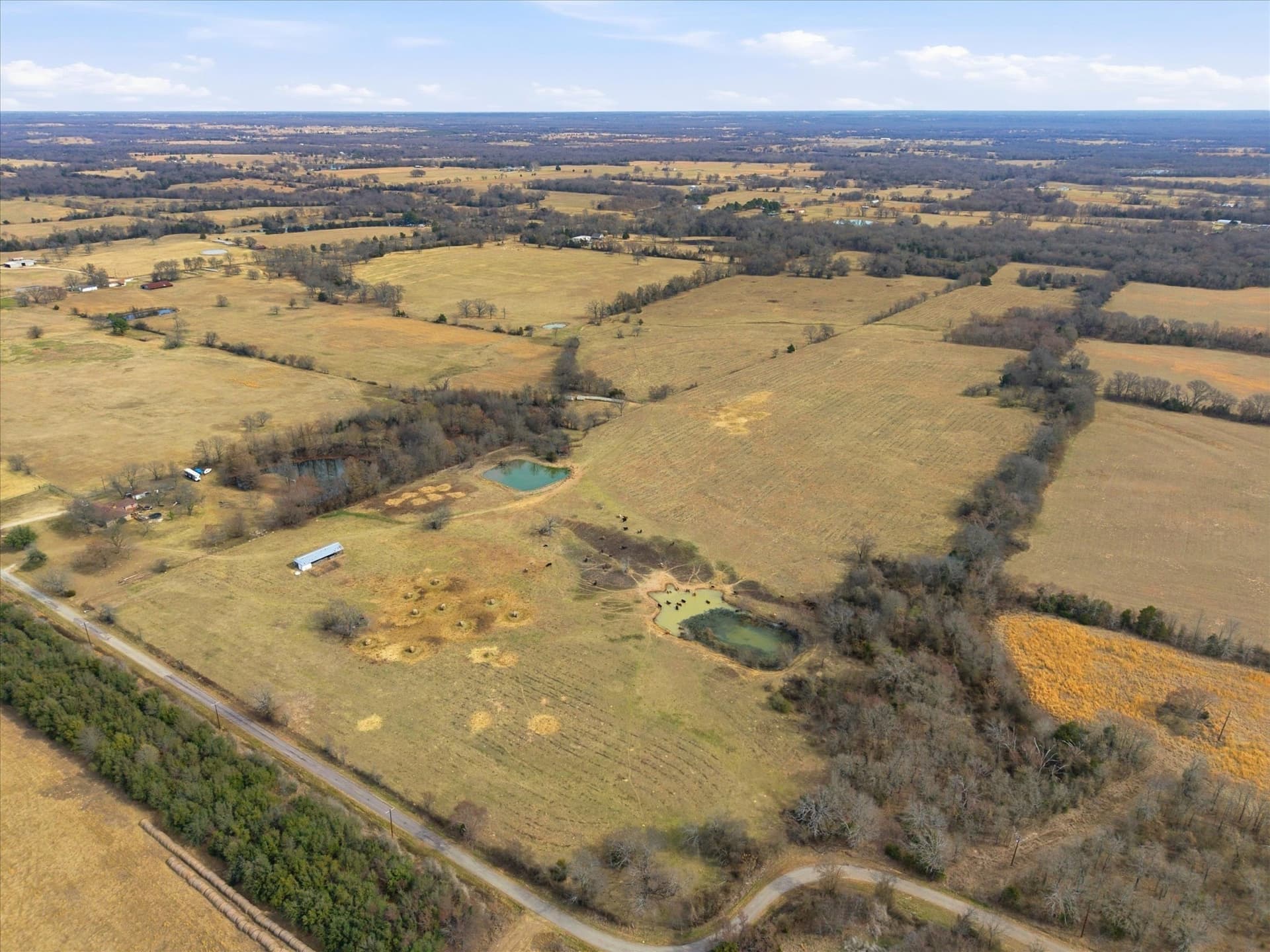 81.88 acres in Rains County - photo 6