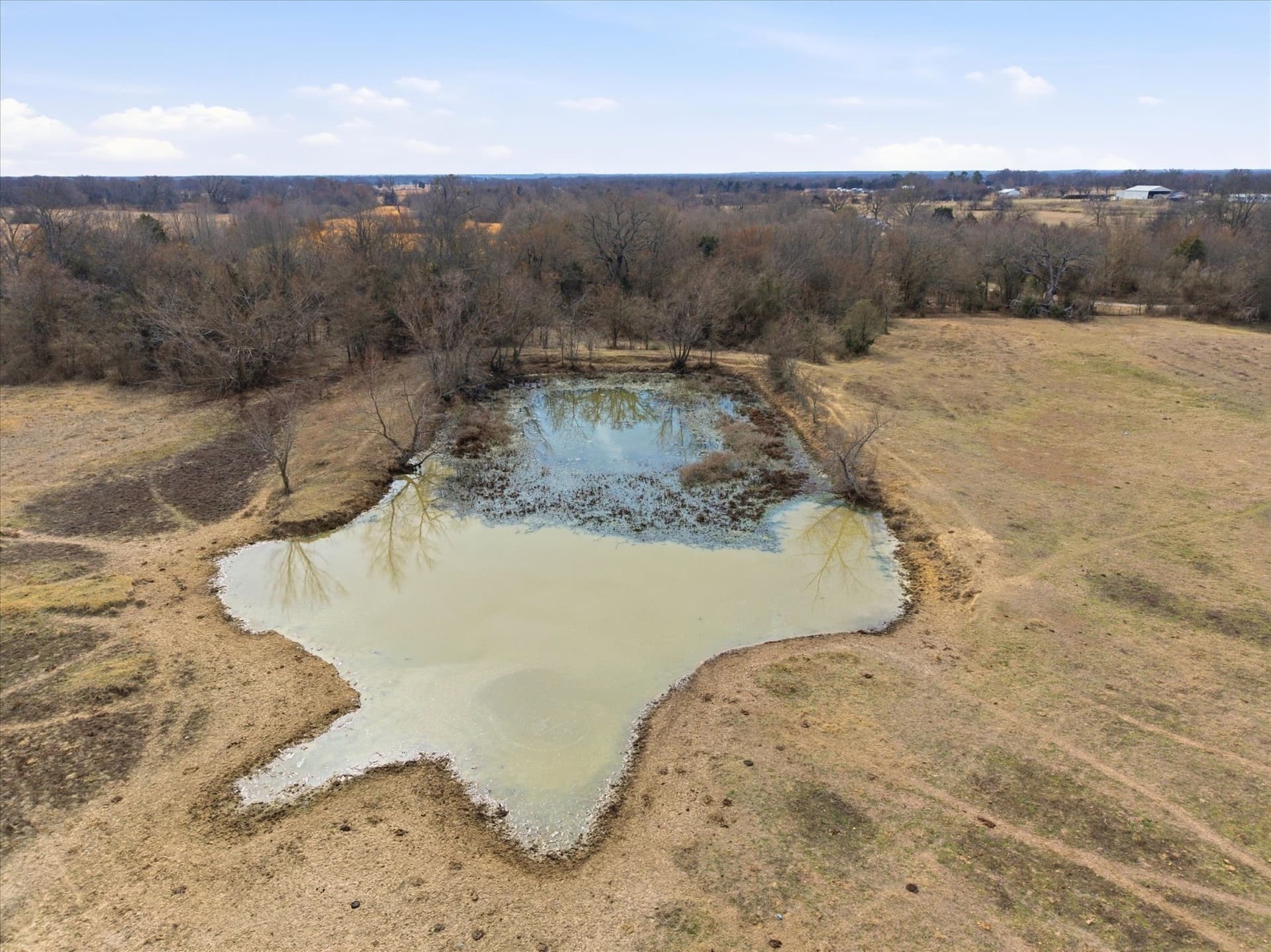 81.88 acres in Rains County - photo 18
