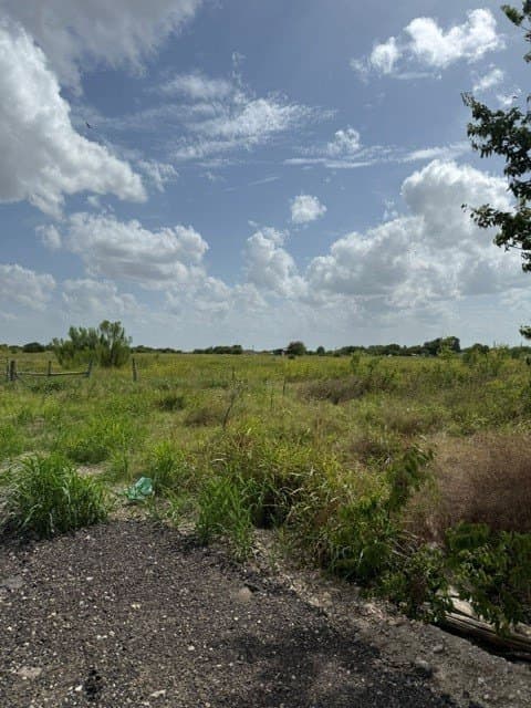 13.98 acres in Wise County - photo 5