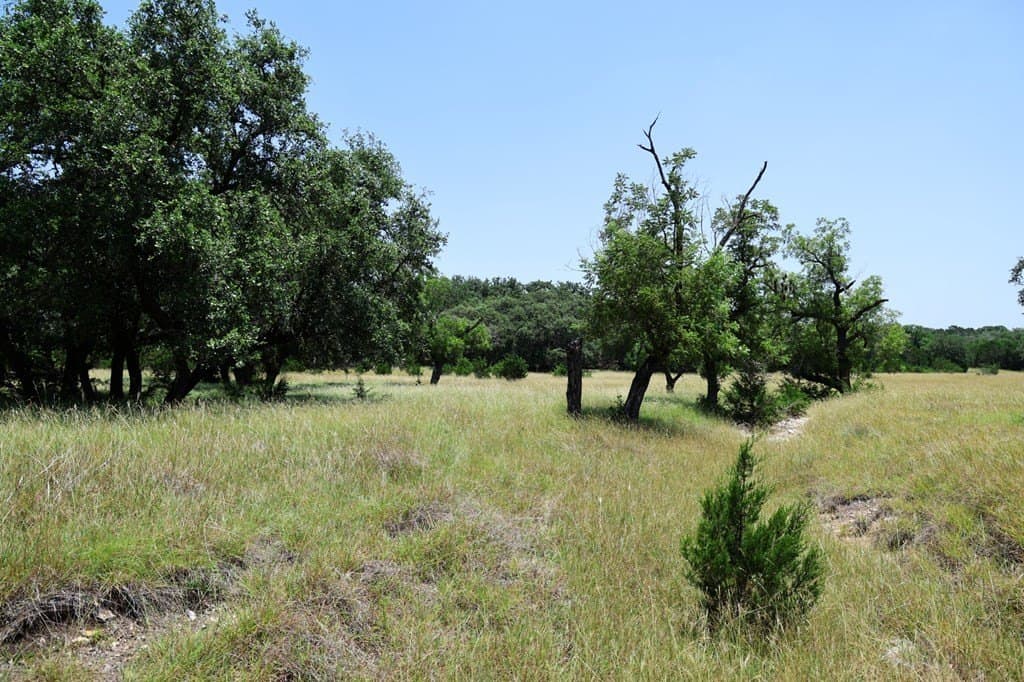 100 acres in Kerr County - photo 25