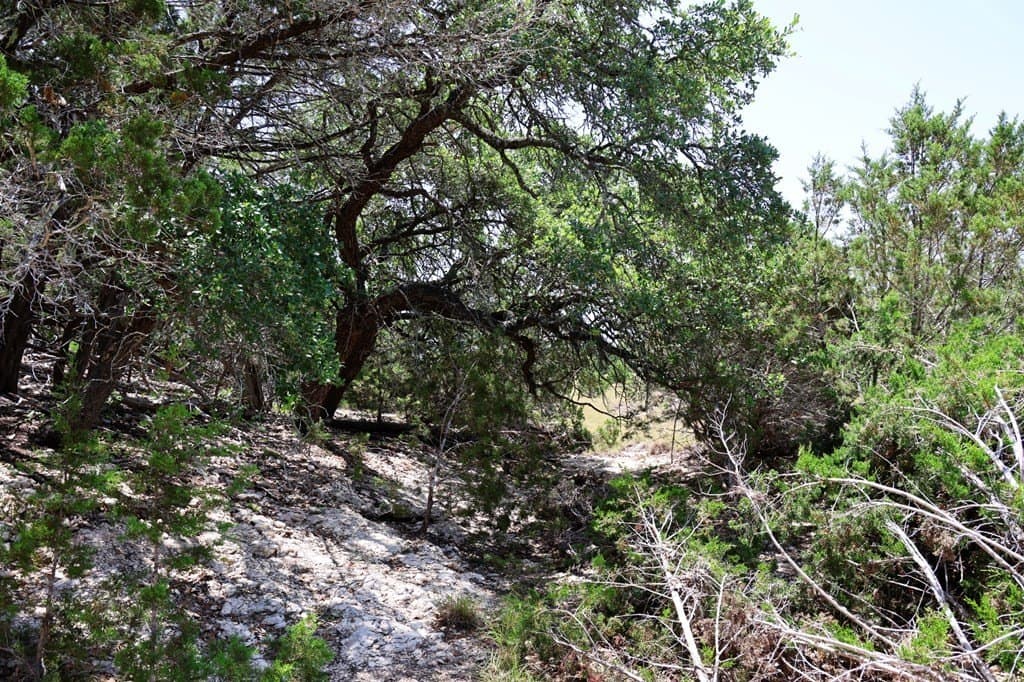 100 acres in Kerr County - photo 22