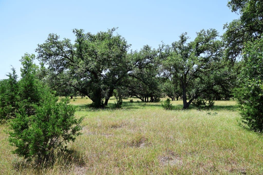 100 acres in Kerr County - photo 17