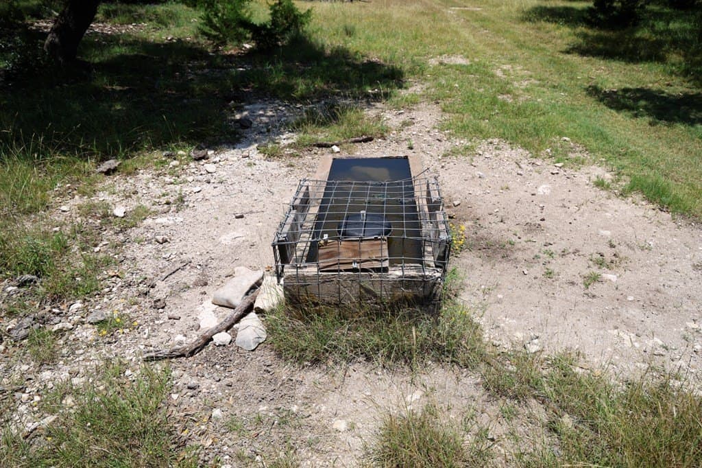 100 acres in Kerr County - photo 27