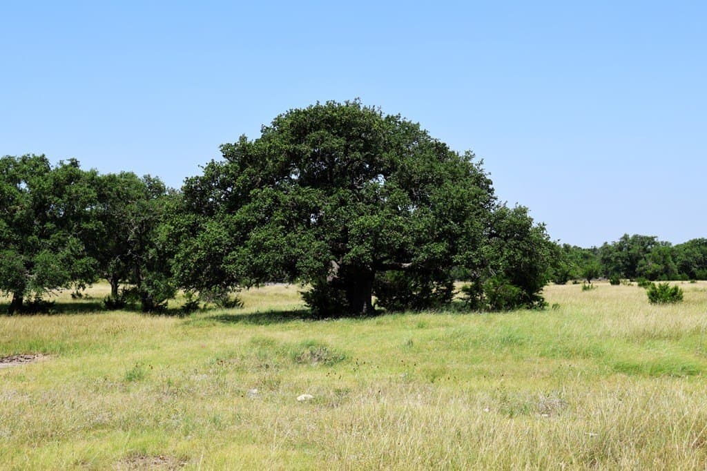 100 acres in Kerr County - photo 16