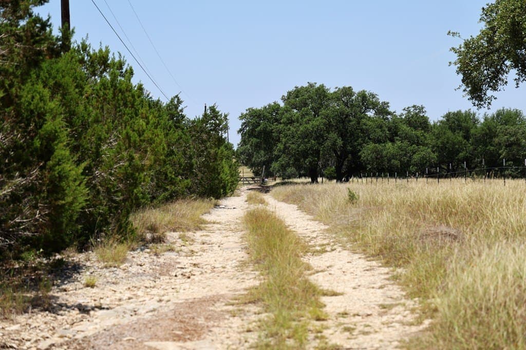 100 acres in Kerr County gallery image 3