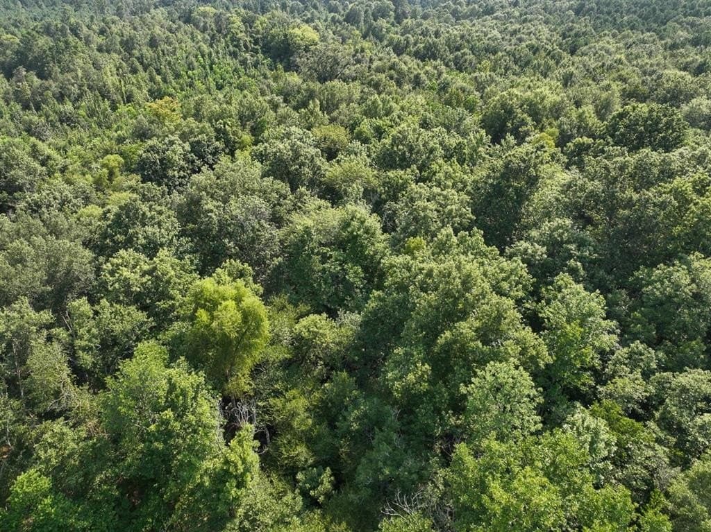 32.61 acres in Shelby County featured view