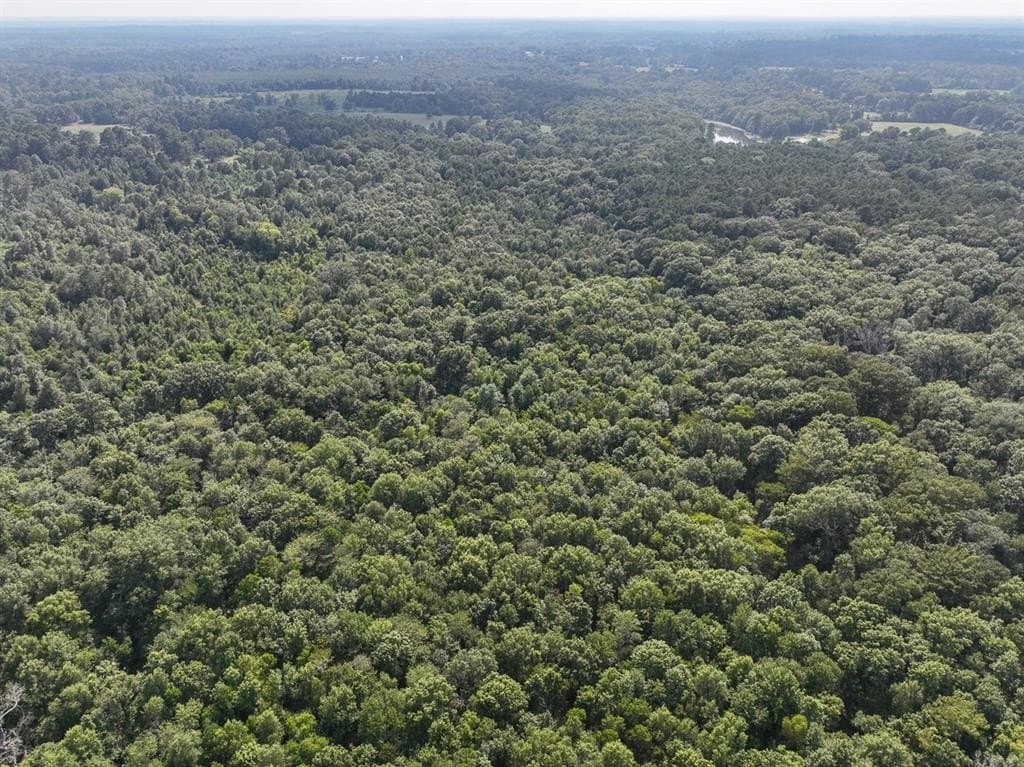 32.61 acres in Shelby County gallery image 3