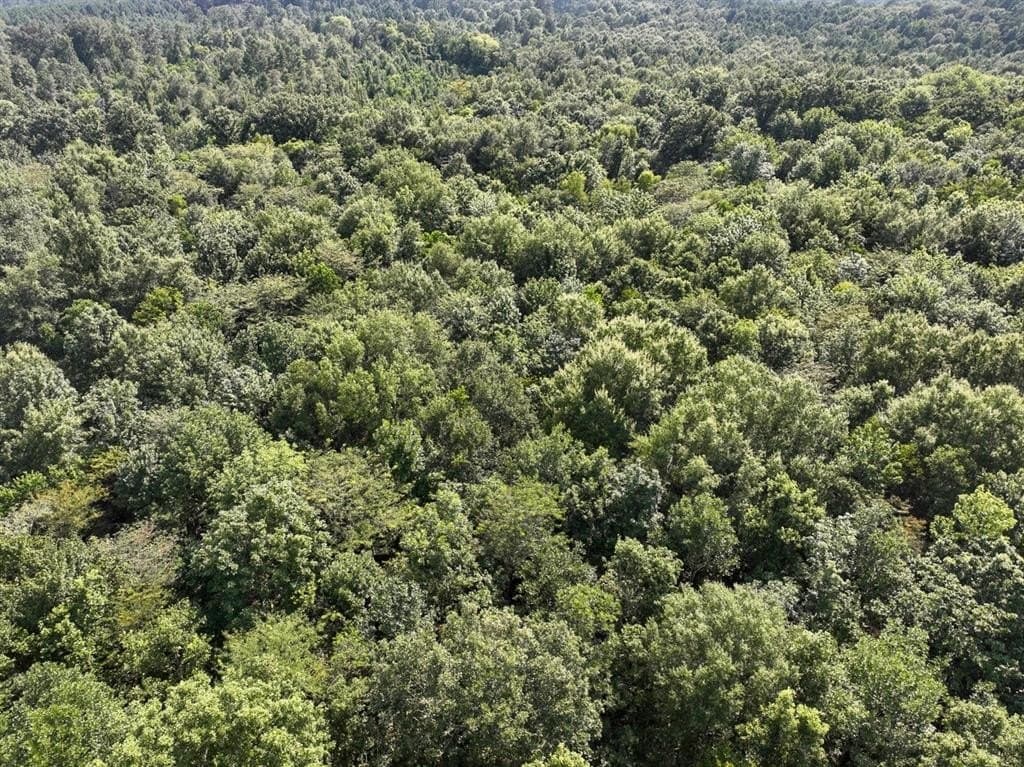 32.61 acres in Shelby County gallery image 4