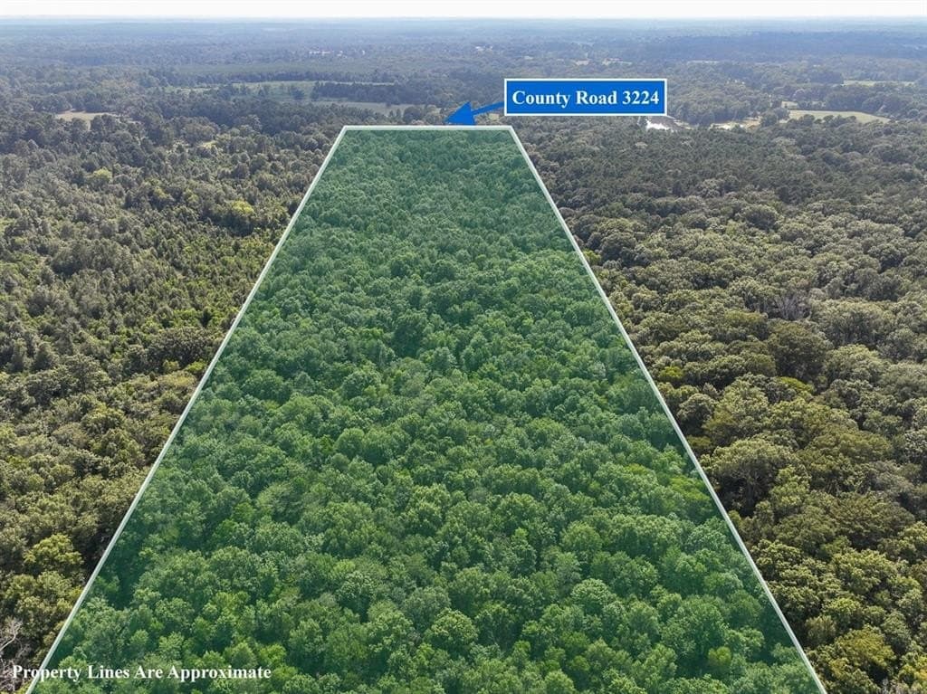 32.61 acres in Shelby County gallery image 2