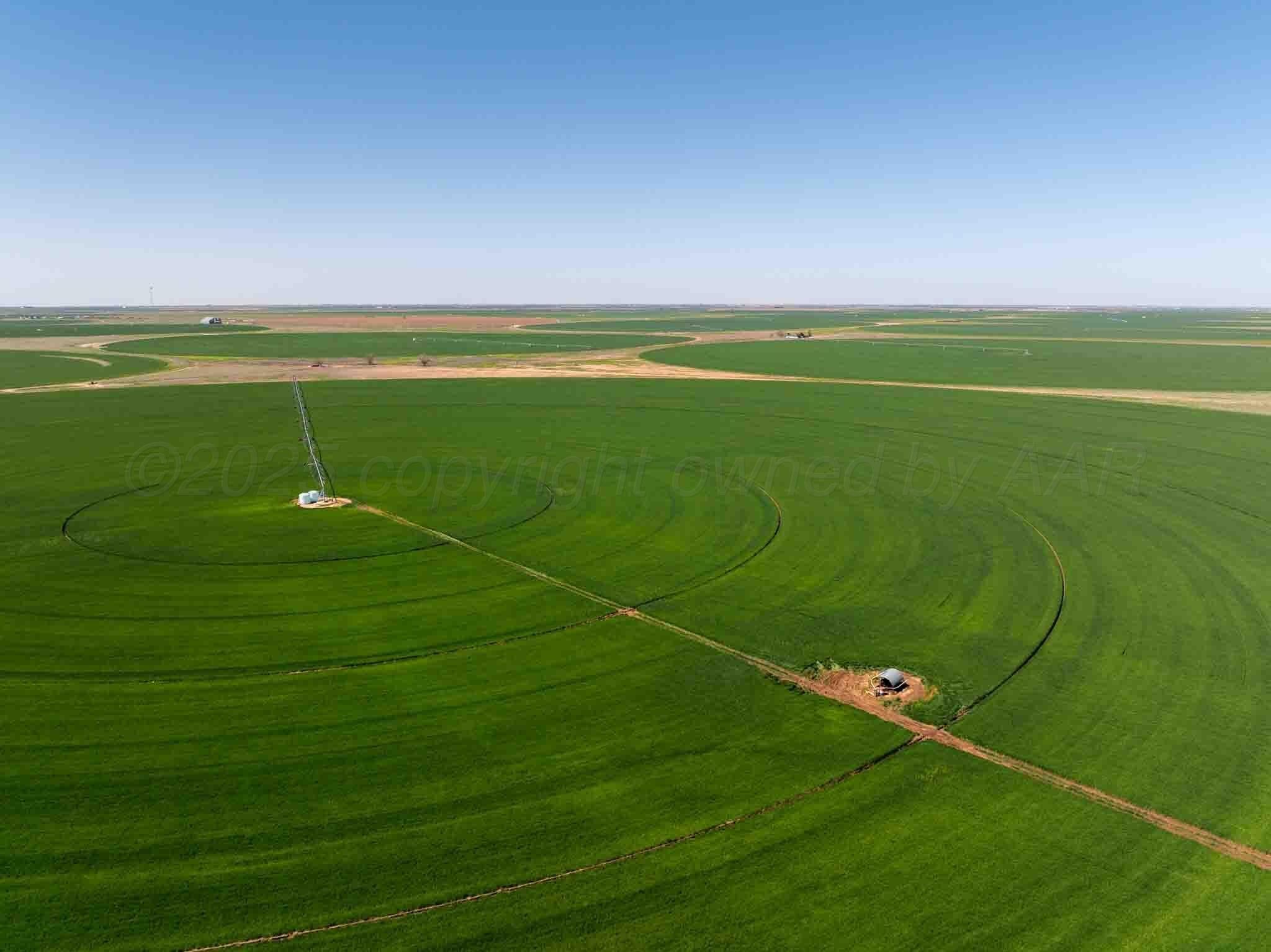 1,693.16 acres in Castro County featured view