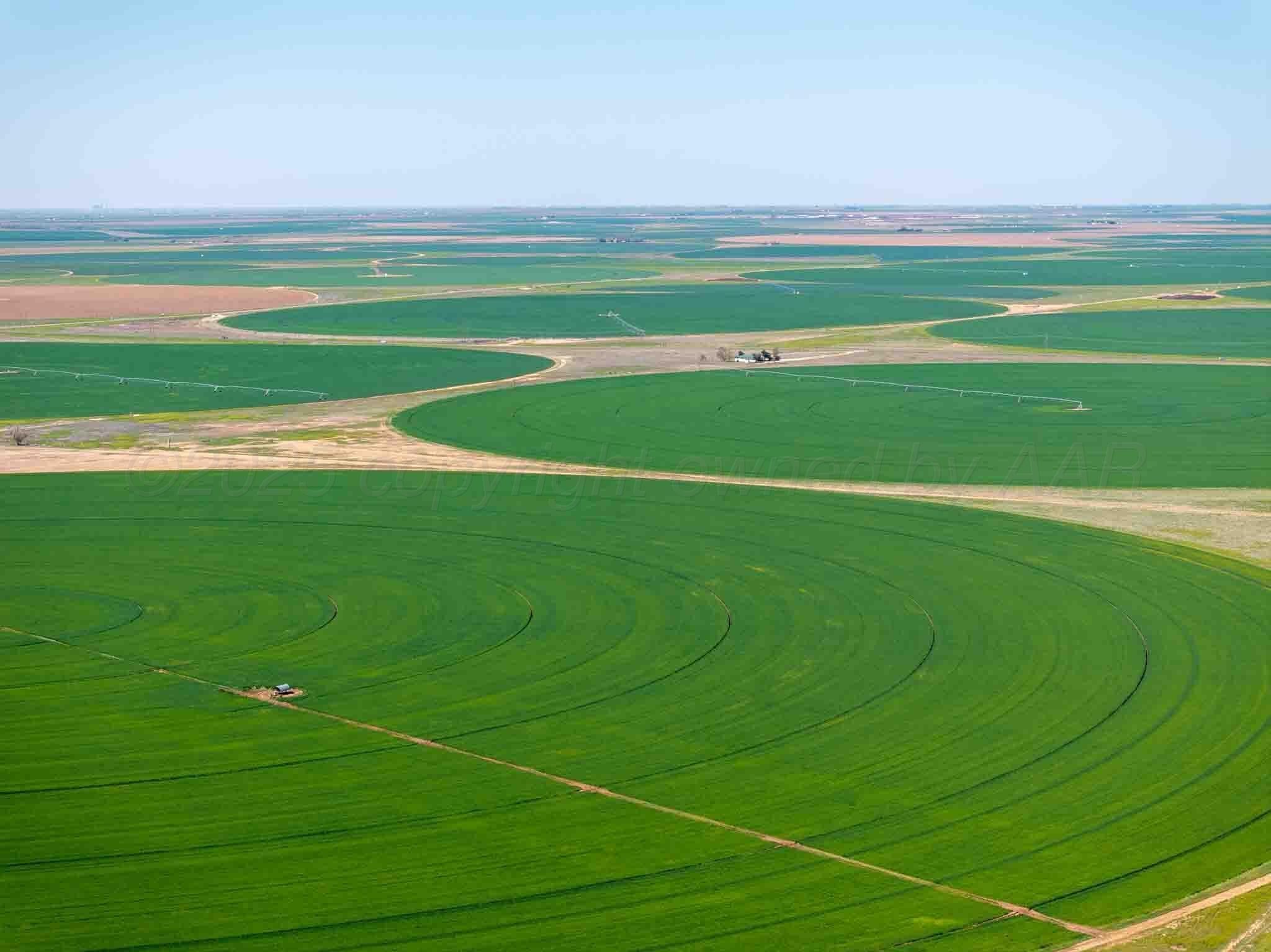1,693.16 acres in Castro County gallery image 4